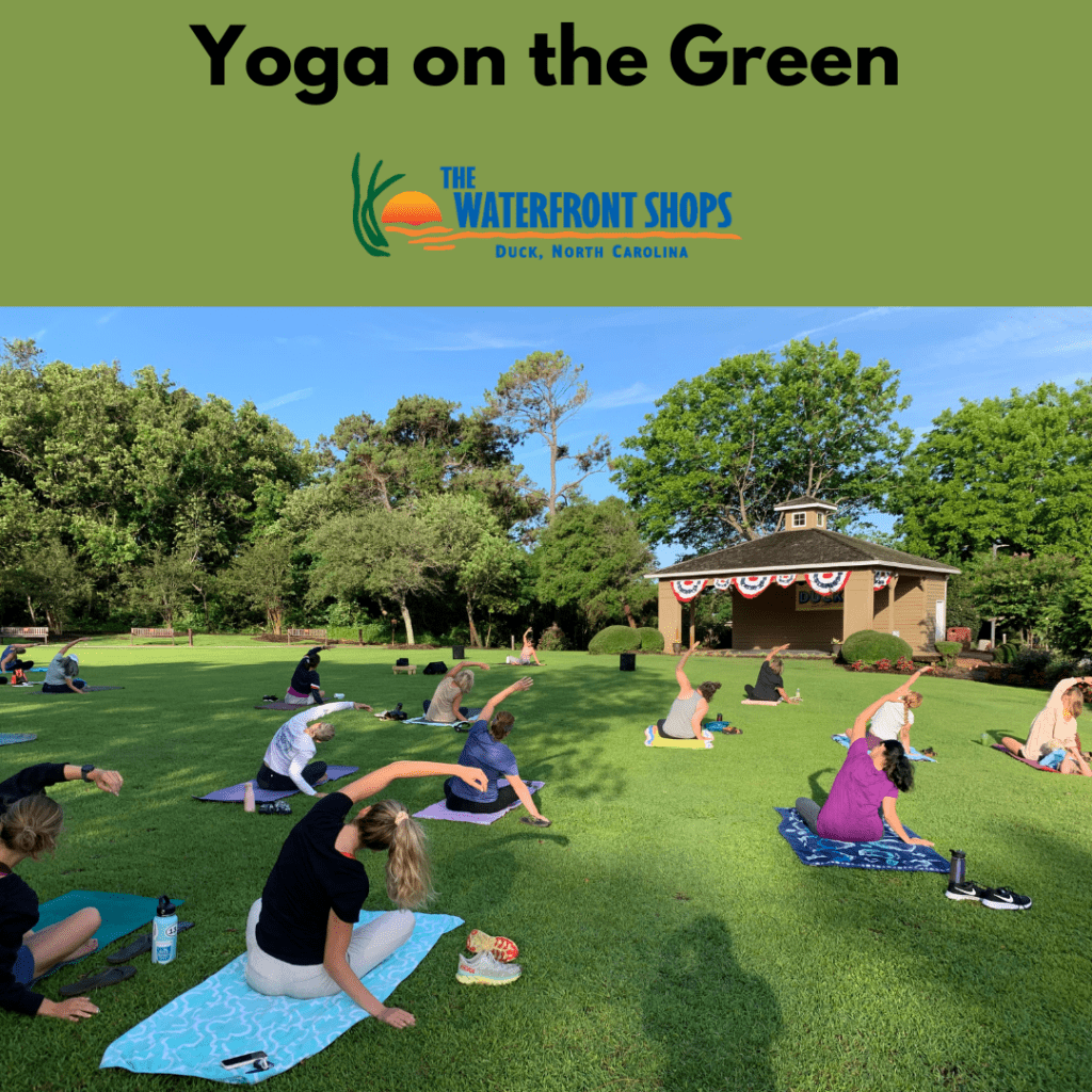 People doing Yoga on a lawn